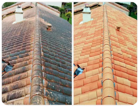 Antimousse et hydrofuge de toiture à Tonnay-Charente