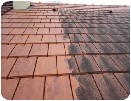 Nettoyage de toiture Tonnay-Charente